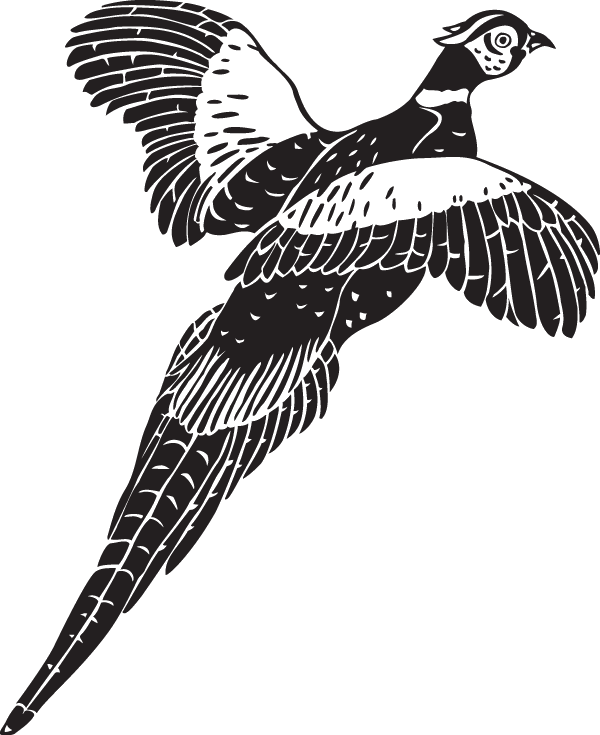 (image for) Wild Pheasant Decal