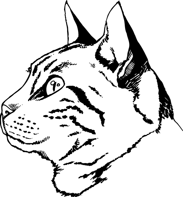 (image for) Attentive Kitty Decal