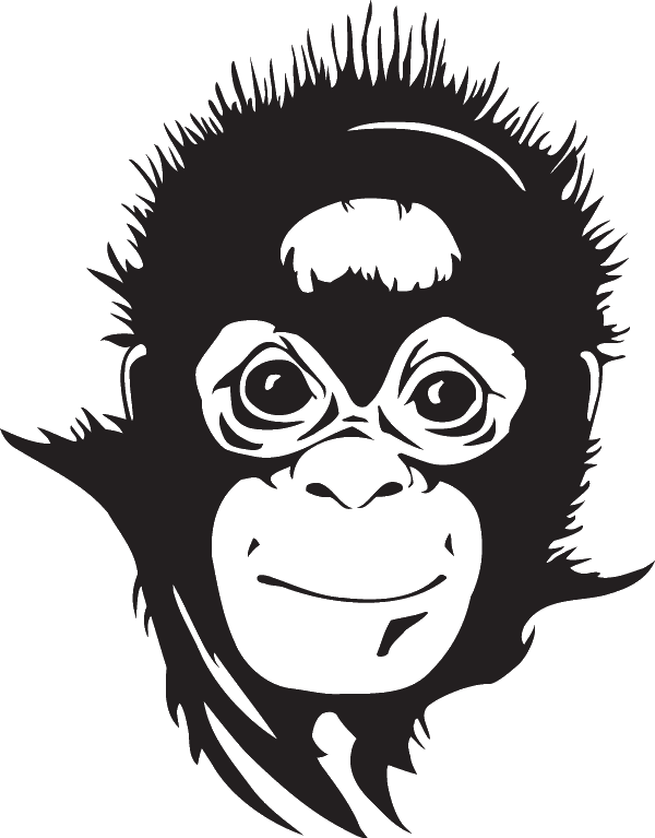 (image for) African Chimpanzee Decal