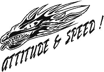 (image for) Attitude and Speed