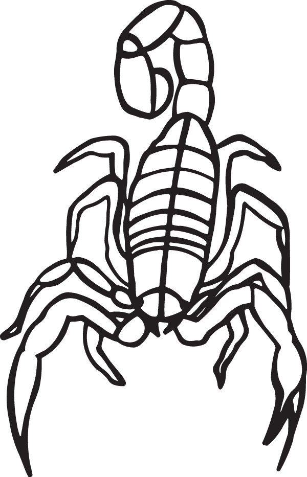 (image for) Scorpion sticker