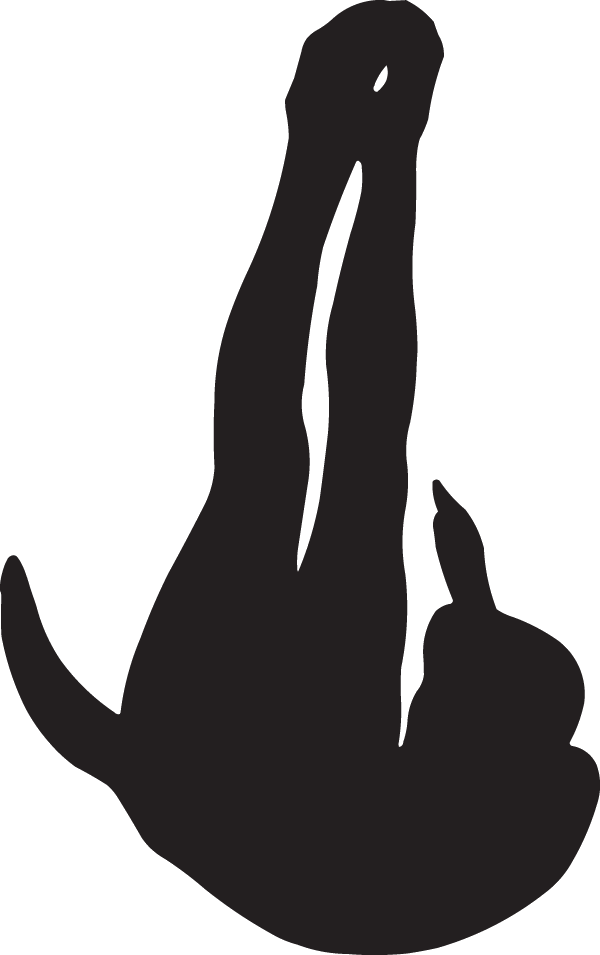 (image for) Back Dive Silhouette