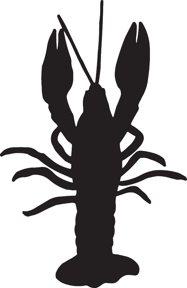(image for) Lobster Crawling Up Decal