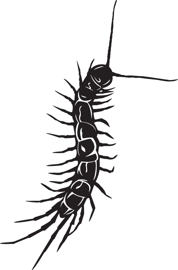 (image for) Centipede Sticker