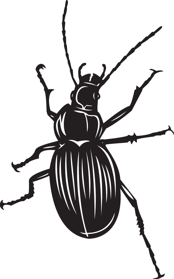(image for) Beetle sticker