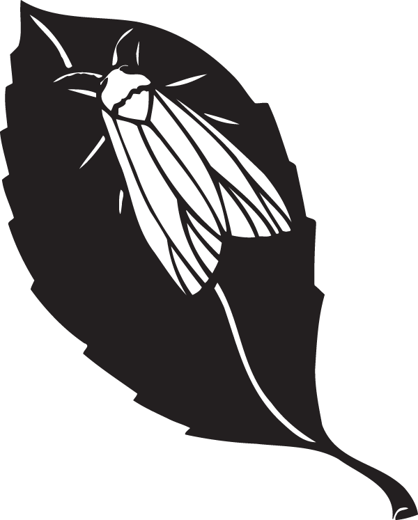 (image for) Bug on a leaf Decal