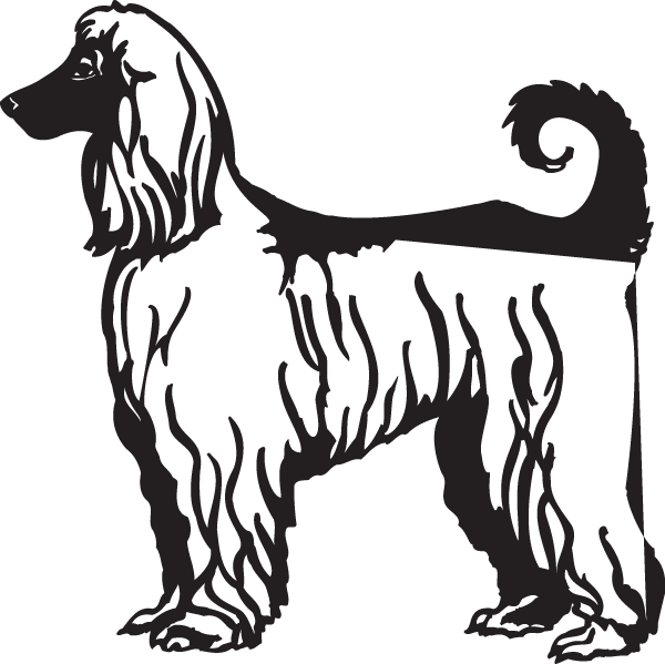 (image for) Afghan Hound Decal