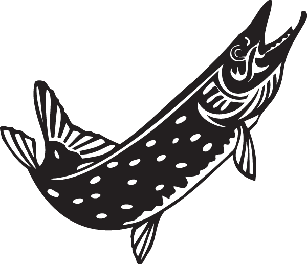 (image for) Barracuda Decal