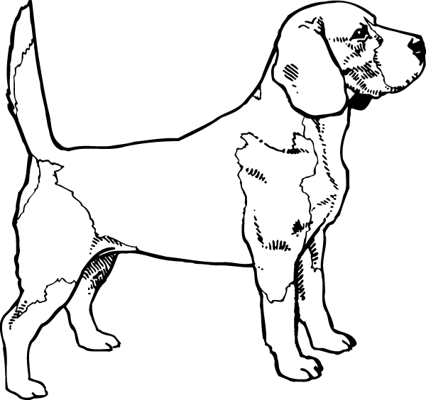 (image for) Beagle outline Decal