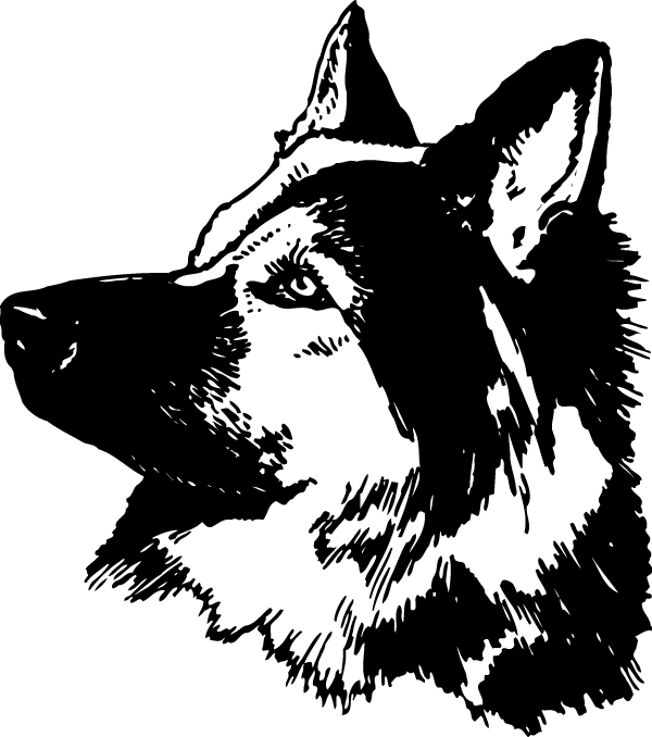 (image for) Attentive German Shepherd Decal