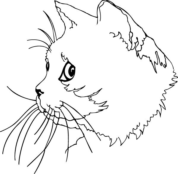 (image for) Cat Head Decal