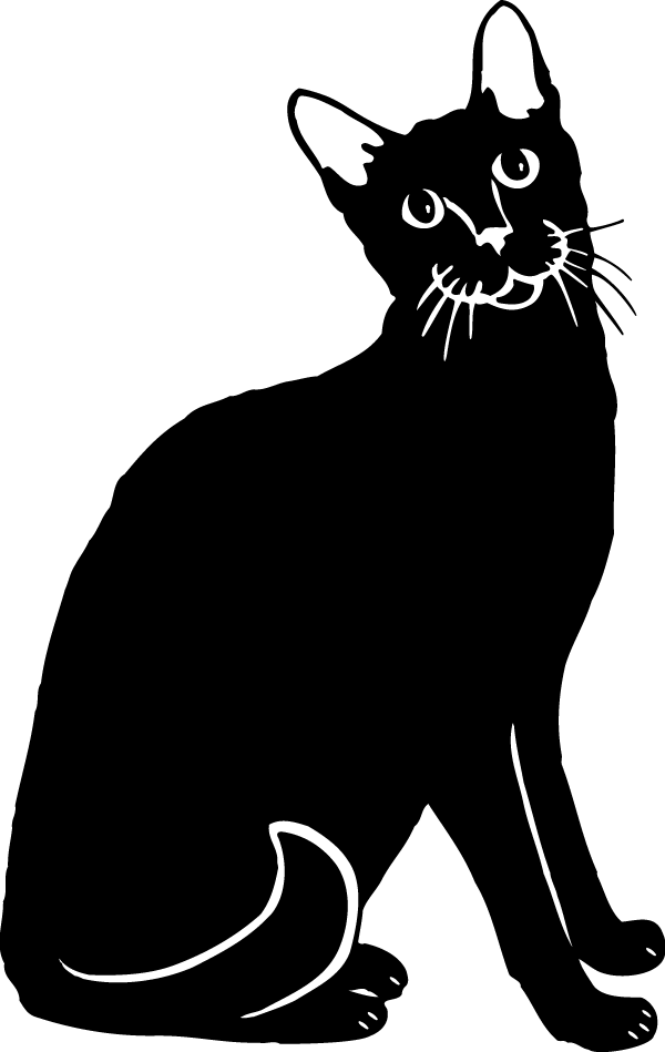 (image for) Black Cat Decal