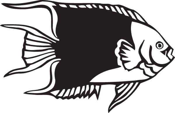 (image for) French Angelfish Decal