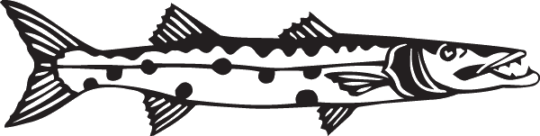 (image for) Great Barracuda Decal