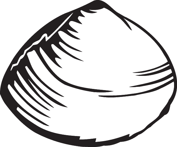 (image for) Mussel Clam Decal