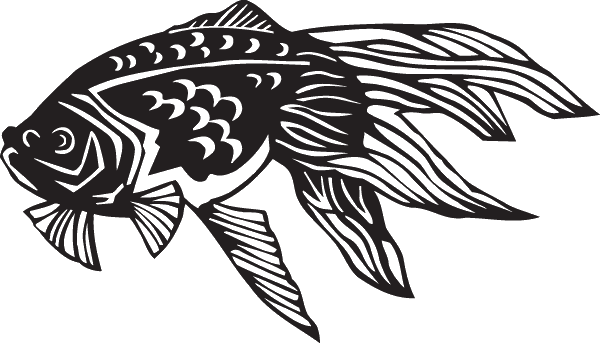 (image for) Fancy Goldfish Decal