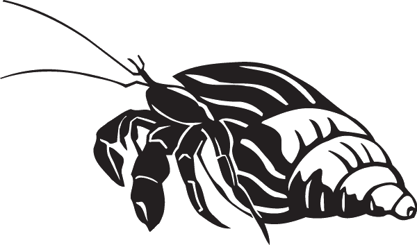 (image for) Crawling Hermit Crab decal