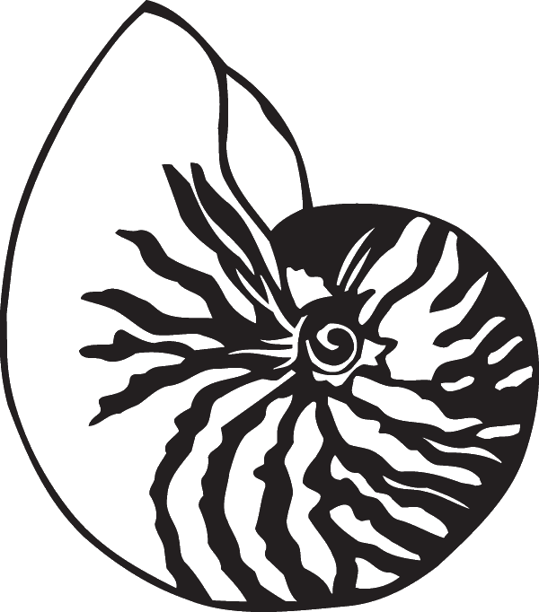 (image for) Shell Decal