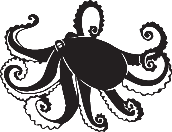(image for) Octopus