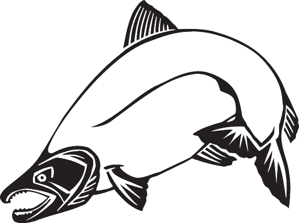 (image for) Salmon Arched Decal