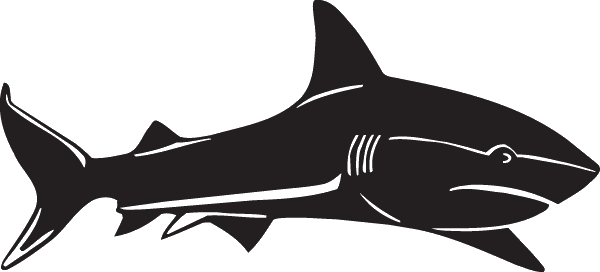 (image for) Great White Shark Decal