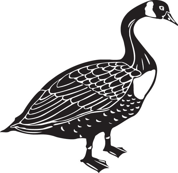 (image for) Goose Decal