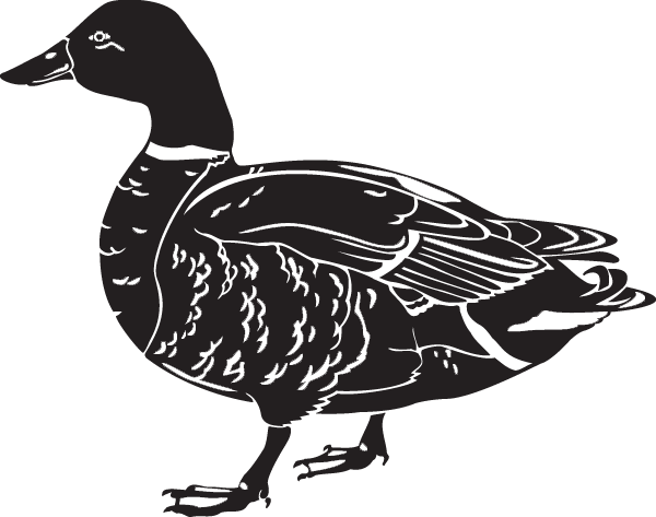 (image for) Mallard Duck Decal