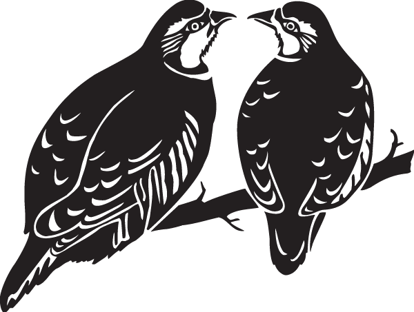 (image for) Pheasants Decal