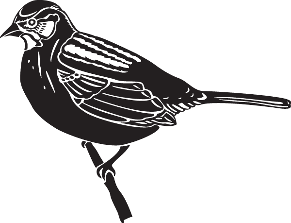 (image for) Sparrow decal
