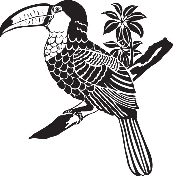 (image for) Keel-billed toucan decal
