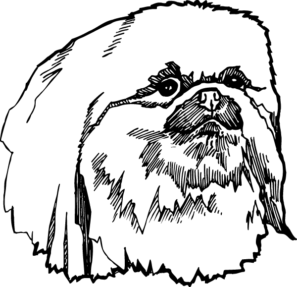 (image for) Maltese Dog Decal Sticker