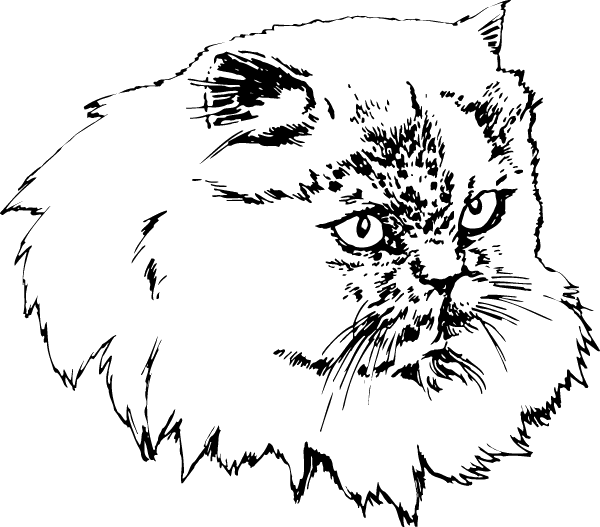 (image for) Persian Cat Decal