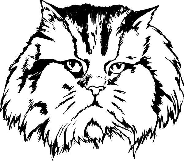 (image for) Cat in Charge Decal