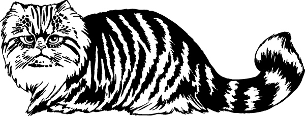 (image for) Tiger Striped Himalayan Cat Decal