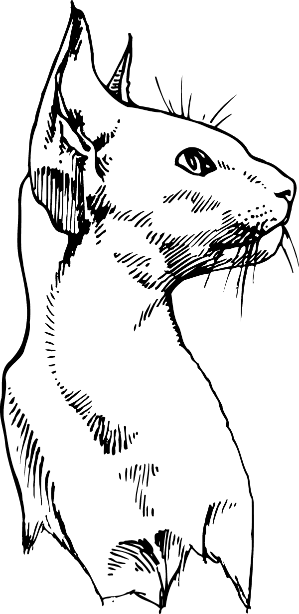 (image for) Sphynx Head Decal