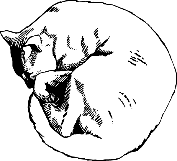 (image for) Sleepy Cat Decal