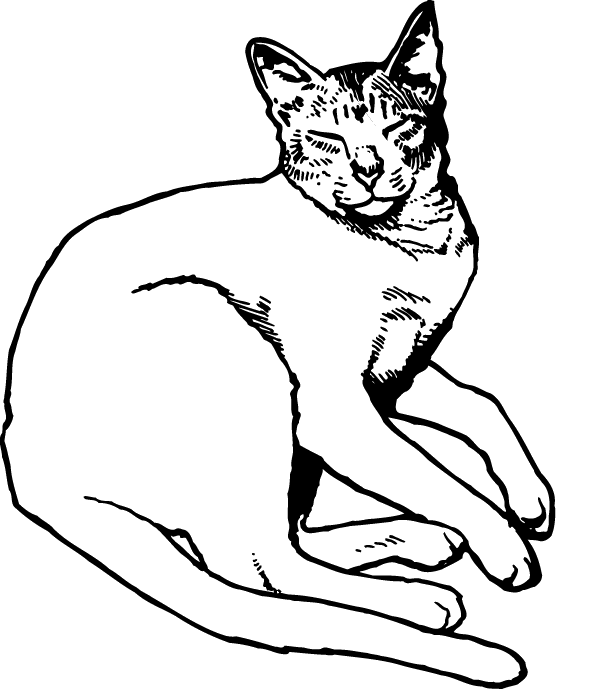 (image for) Leisure Cat Decal