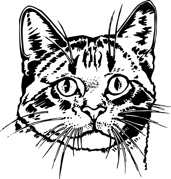 (image for) Lovable Cat Decal