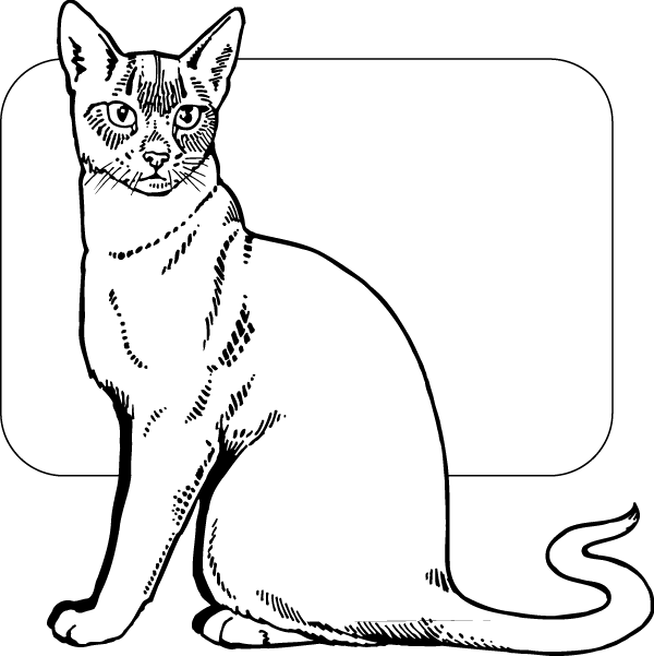 (image for) Testy Cat Decal