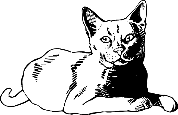 (image for) Indifferent Cat Decal