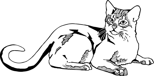 (image for) Interested Cat Decal