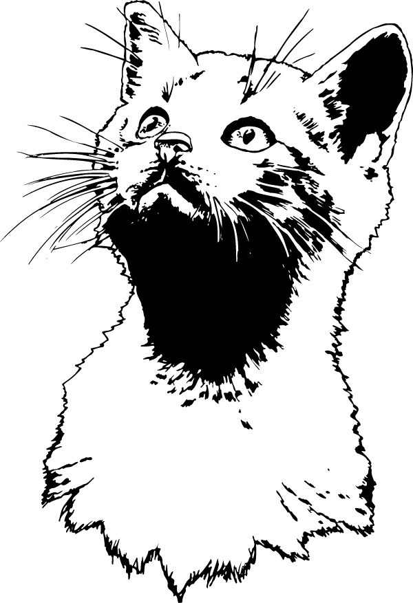 (image for) Alert Cat Decal