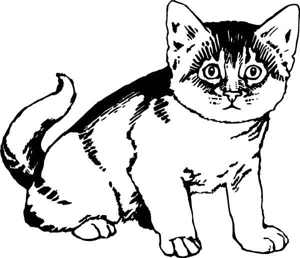 (image for) Nervous Kitten Decal