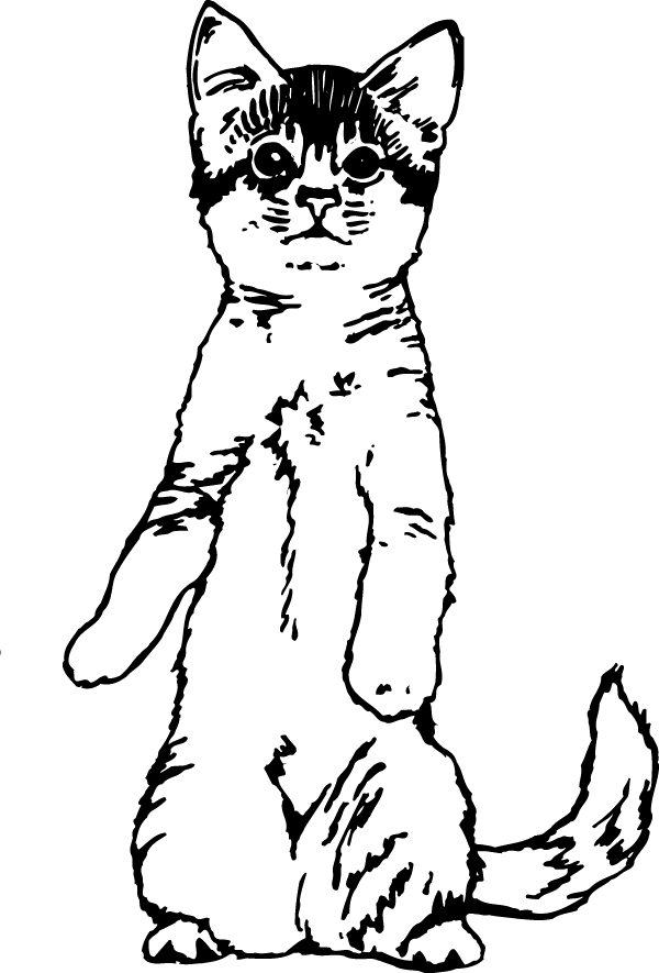 (image for) Cat on hind legs Decal