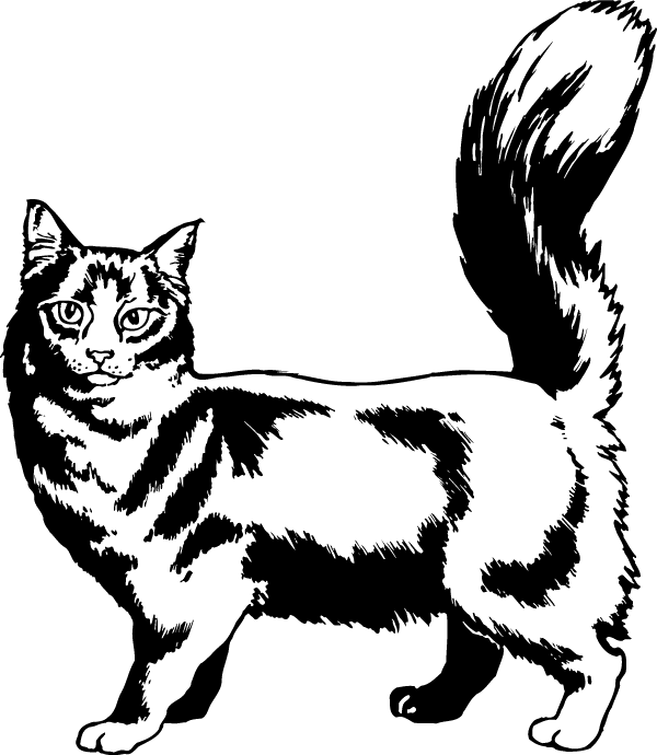 (image for) Silky Cat Decal
