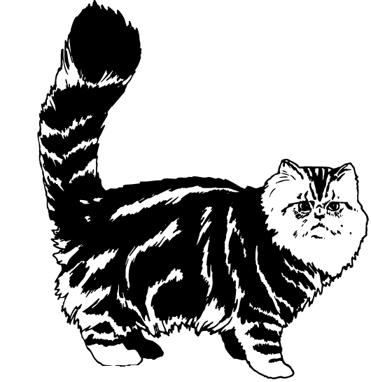 Fat Cat Decal - $4.95 : Decal City