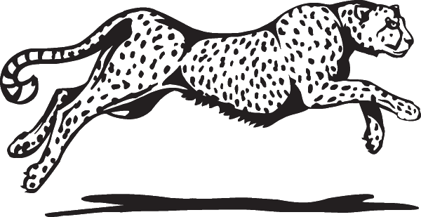 (image for) Cheetah Decal