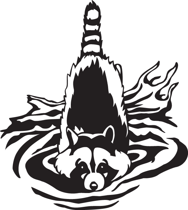 (image for) Racoon in Water Decal