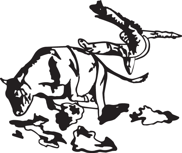 (image for) Bull Rider Thrown Decal
