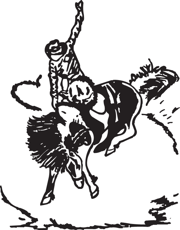 (image for) Wild Rodeo Decal